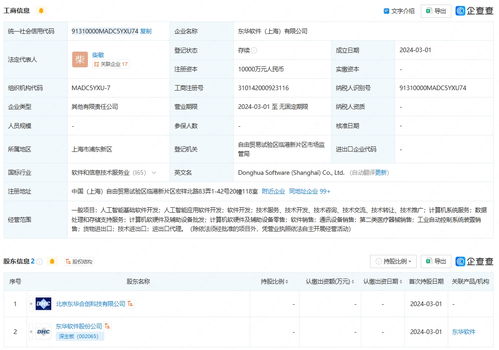 东华软件在上海成立新公司，布局AI业务与软件开发